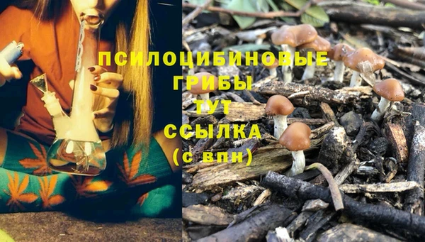 кокс Алексеевка