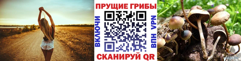 Псилоцибиновые грибы прущие грибы Дмитровск